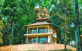 Vythiri Wild Forest Resort